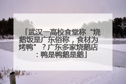 武汉一高校食堂称“烧鹅饭是广东俗称，食材为烤鸭”？广东多家烧鹅店：鸭是鸭鹅是鹅