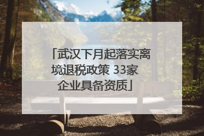 武汉下月起落实离境退税政策 33家企业具备资质