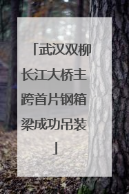 武汉双柳长江大桥主跨首片钢箱梁成功吊装