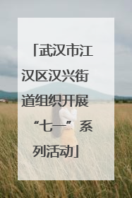 武汉市江汉区汉兴街道组织开展“七一”系列活动