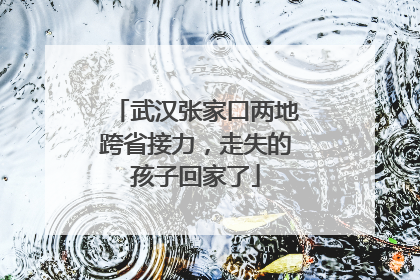 武汉张家口两地跨省接力，走失的孩子回家了