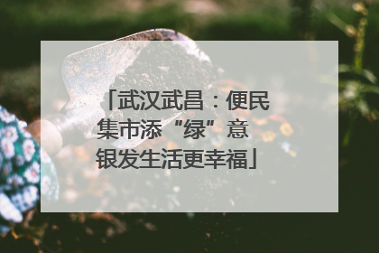 武汉武昌：便民集市添“绿”意 银发生活更幸福