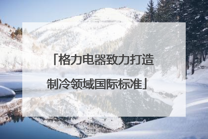 格力电器致力打造制冷领域国际标准