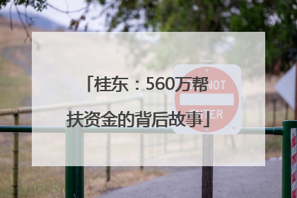 桂东：560万帮扶资金的背后故事