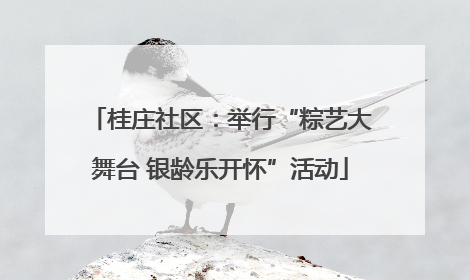 桂庄社区：举行“粽艺大舞台 银龄乐开怀”活动