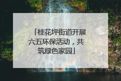 桂花坪街道开展六五环保活动，共筑绿色家园