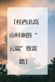 桂西北高山村寨的“云端”致富路
