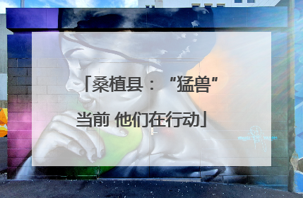 桑植县：“猛兽”当前 他们在行动
