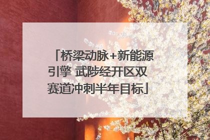 桥梁动脉+新能源引擎 武陟经开区双赛道冲刺半年目标