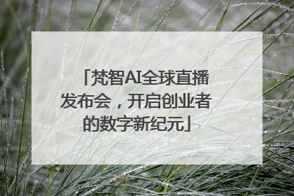 梵智AI全球直播发布会，开启创业者的数字新纪元