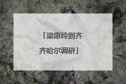 梁惠玲到齐齐哈尔调研
