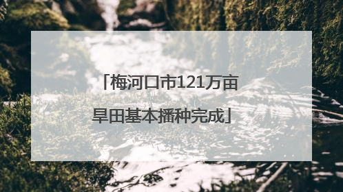 梅河口市121万亩旱田基本播种完成