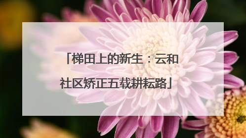 梯田上的新生：云和社区矫正五载耕耘路