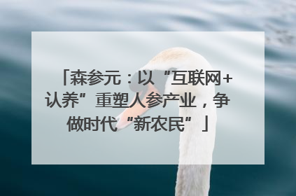 森参元：以“互联网+认养”重塑人参产业，争做时代“新农民”