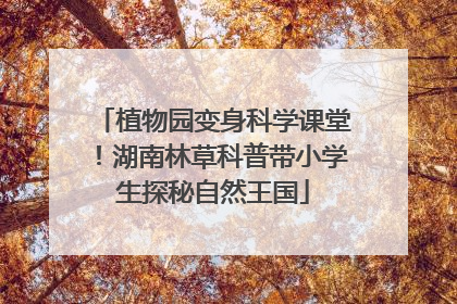 植物园变身科学课堂！湖南林草科普带小学生探秘自然王国