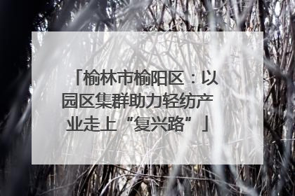 榆林市榆阳区：以园区集群助力轻纺产业走上“复兴路”