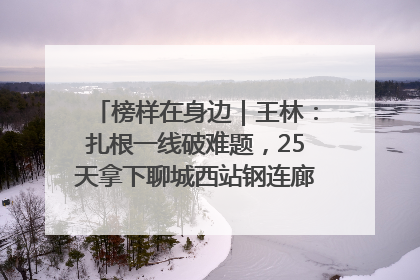 榜样在身边｜王林：扎根一线破难题，25天拿下聊城西站钢连廊“硬核”工程