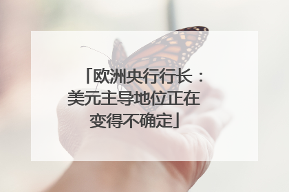 欧洲央行行长：美元主导地位正在变得不确定