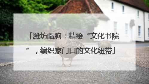 潍坊临朐：精绘“文化书院”，编织家门口的文化纽带