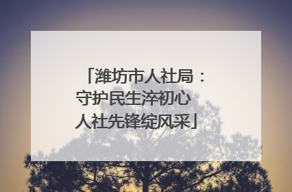 潍坊市人社局：守护民生淬初心 人社先锋绽风采