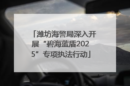 潍坊海警局深入开展“碧海蓝盾2025”专项执法行动