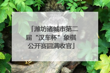 潍坊诸城市第二届“汉车杯”象棋公开赛圆满收官