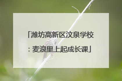 潍坊高新区汶泉学校：麦浪里上起成长课
