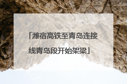 潍宿高铁至青岛连接线青岛段开始架梁