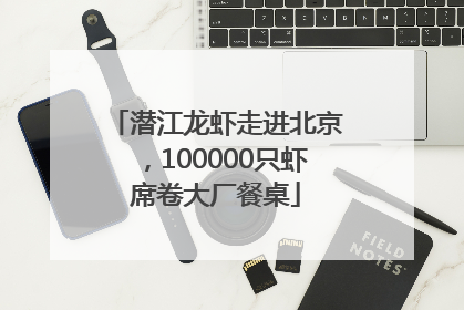 潜江龙虾走进北京，100000只虾席卷大厂餐桌