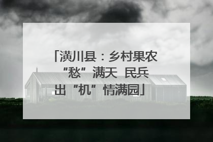 潢川县：乡村果农“愁”满天  民兵出“机”情满园