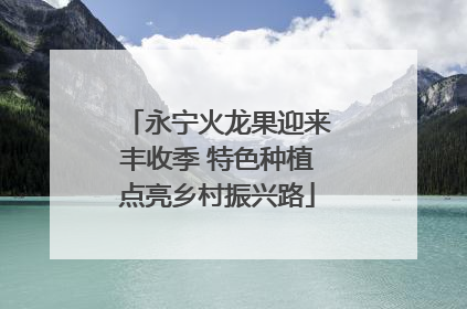 永宁火龙果迎来丰收季 特色种植点亮乡村振兴路
