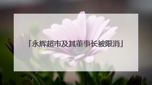 永辉超市及其董事长被限消