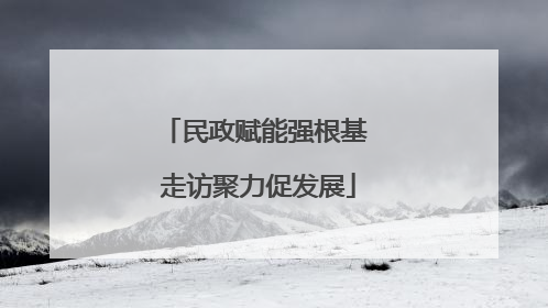 民政赋能强根基 走访聚力促发展