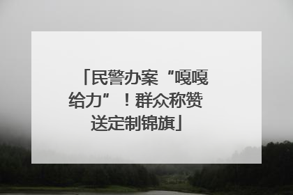 民警办案“嘎嘎给力”！群众称赞送定制锦旗