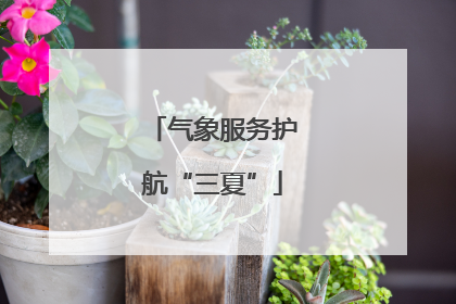 气象服务护航“三夏”