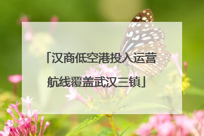 汉商低空港投入运营 航线覆盖武汉三镇