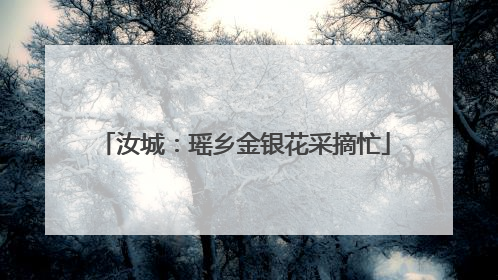 汝城：瑶乡金银花采摘忙
