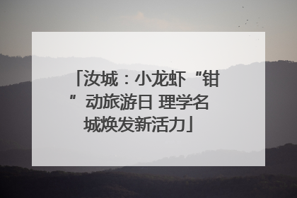 汝城：小龙虾“钳”动旅游日 理学名城焕发新活力