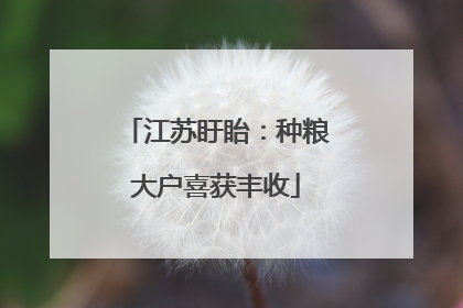 江苏盱眙：种粮大户喜获丰收