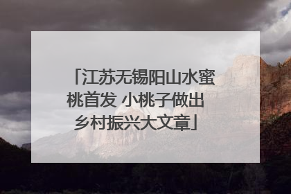 江苏无锡阳山水蜜桃首发 小桃子做出乡村振兴大文章