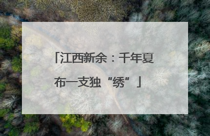 江西新余：千年夏布一支独“绣”