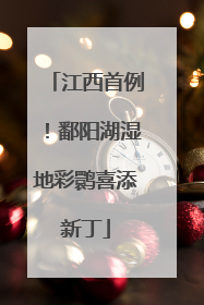 江西首例！鄱阳湖湿地彩鹮喜添新丁