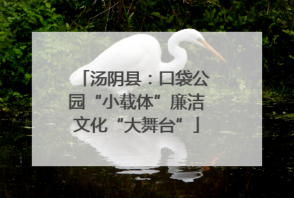 汤阴县：口袋公园“小载体”廉洁文化“大舞台”