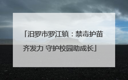 汨罗市罗江镇：禁毒护苗齐发力 守护校园助成长