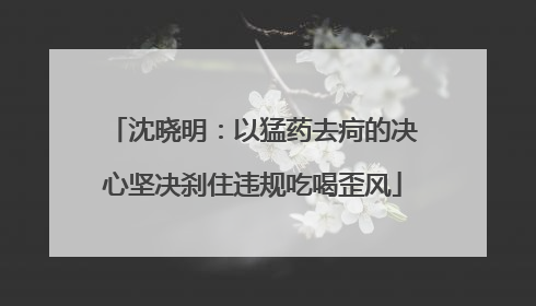 沈晓明：以猛药去疴的决心坚决刹住违规吃喝歪风