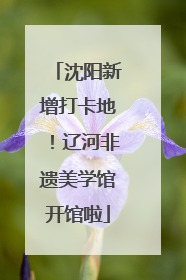 沈阳新增打卡地！辽河非遗美学馆开馆啦