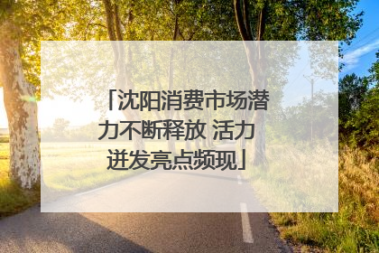 沈阳消费市场潜力不断释放 活力迸发亮点频现