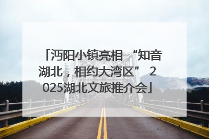 沔阳小镇亮相 “知音湖北，相约大湾区” 2025湖北文旅推介会