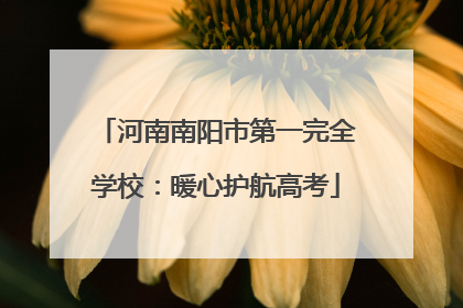 河南南阳市第一完全学校：暖心护航高考