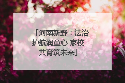 河南新野：法治护航润童心 家校共育筑未来